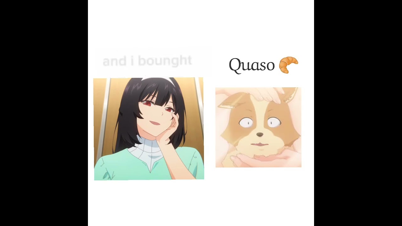 Quaso 🥐  #corgi  #inuninattarasukinahitonihirowareta #犬になったら好きな人に拾われた  #mylifeasinukaisansdog