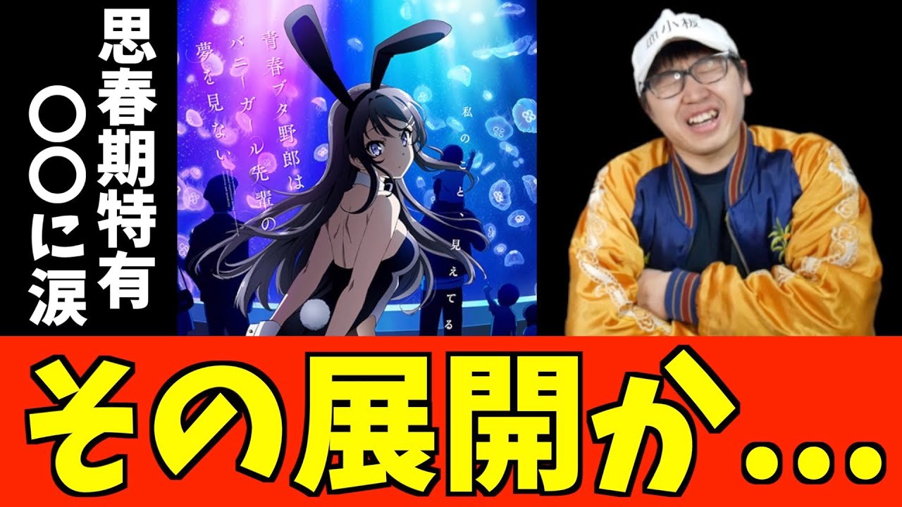 【今更】『青春ブタ野郎はバニーガール先輩の夢を見ない』を視聴したネタバレあり感想【おすすめアニメ】【Clover Works】【2018秋アニメ】【青ブタ】
