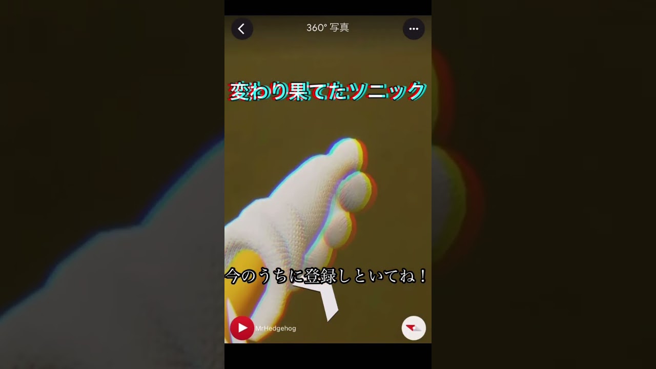 変わり果てたソニック… #shorts #世界の不思議