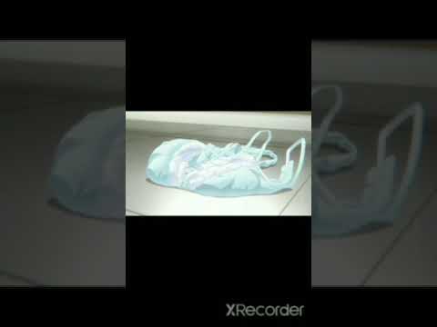 犬なったら好きな人に拾われた１話切り抜き