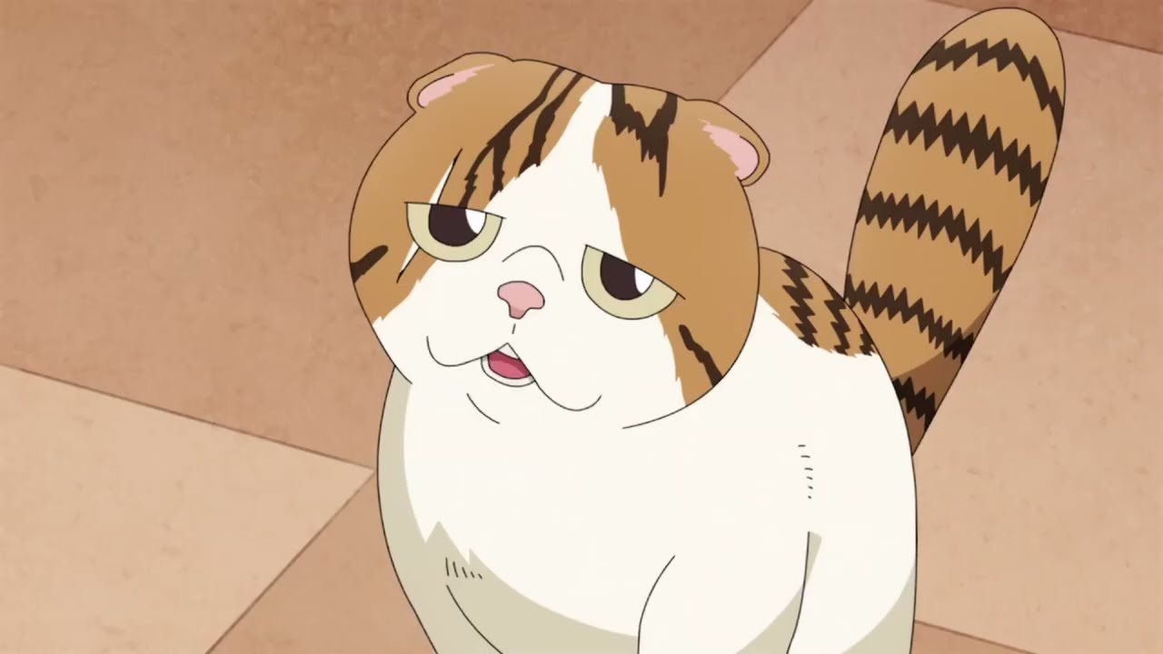 Torii tries to steal a cat | The Way of the Househusband Season 2 Episode 1