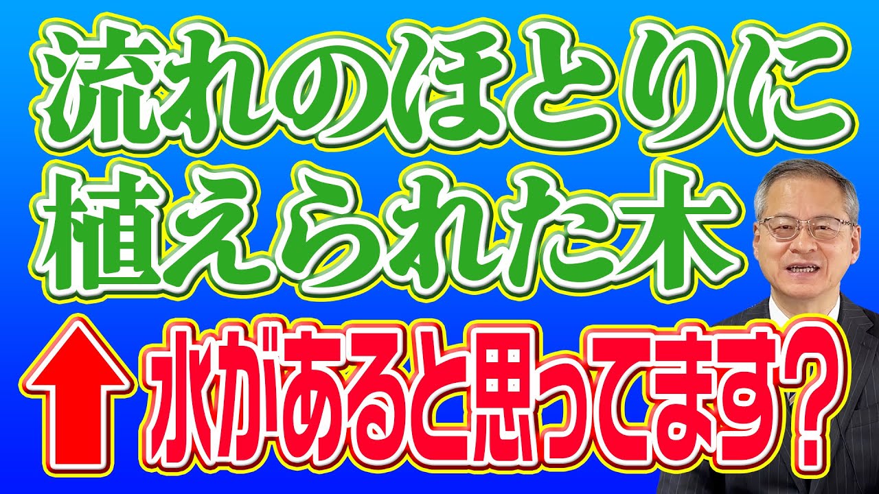 【新年を詩篇1篇で始める】聖書は正しく読み解く！「流れのほとりに植えられた木のように」←実は水は流れていない？