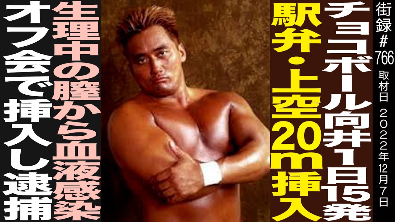 チョコボール向井/1日15発 駅弁・上空20m挿入/生理中の女優から血液感染でA型肝炎/オフ会で挿入し逮捕