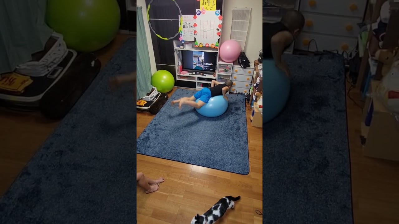 バランスボール×アクロバット(変幻自在🎵リズムを合わせて)次男・一輝 #体幹トレーニング #バランストレーニング #バランスボール #JRA #アルスの巨獣 #ペンギンリサーチ #バランスボールダンス
