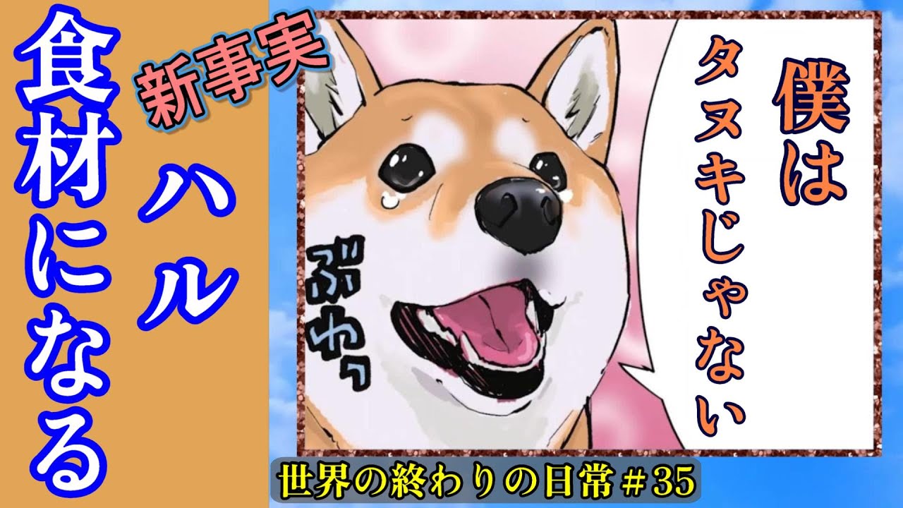 【新事実】 　ハルは保存食だった　誤解されまくりのハルの運命は・・　　　世界の終わりの日常＃35【世界の終わりに柴犬と】【アニメ】【漫画】