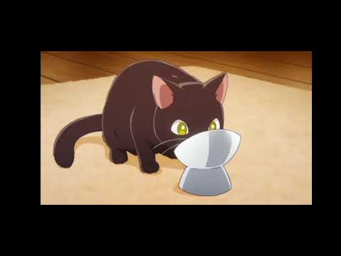 Koori Zokusei Danshi  to cool na Douryou Joshi subtitle Indonesia - eps 01