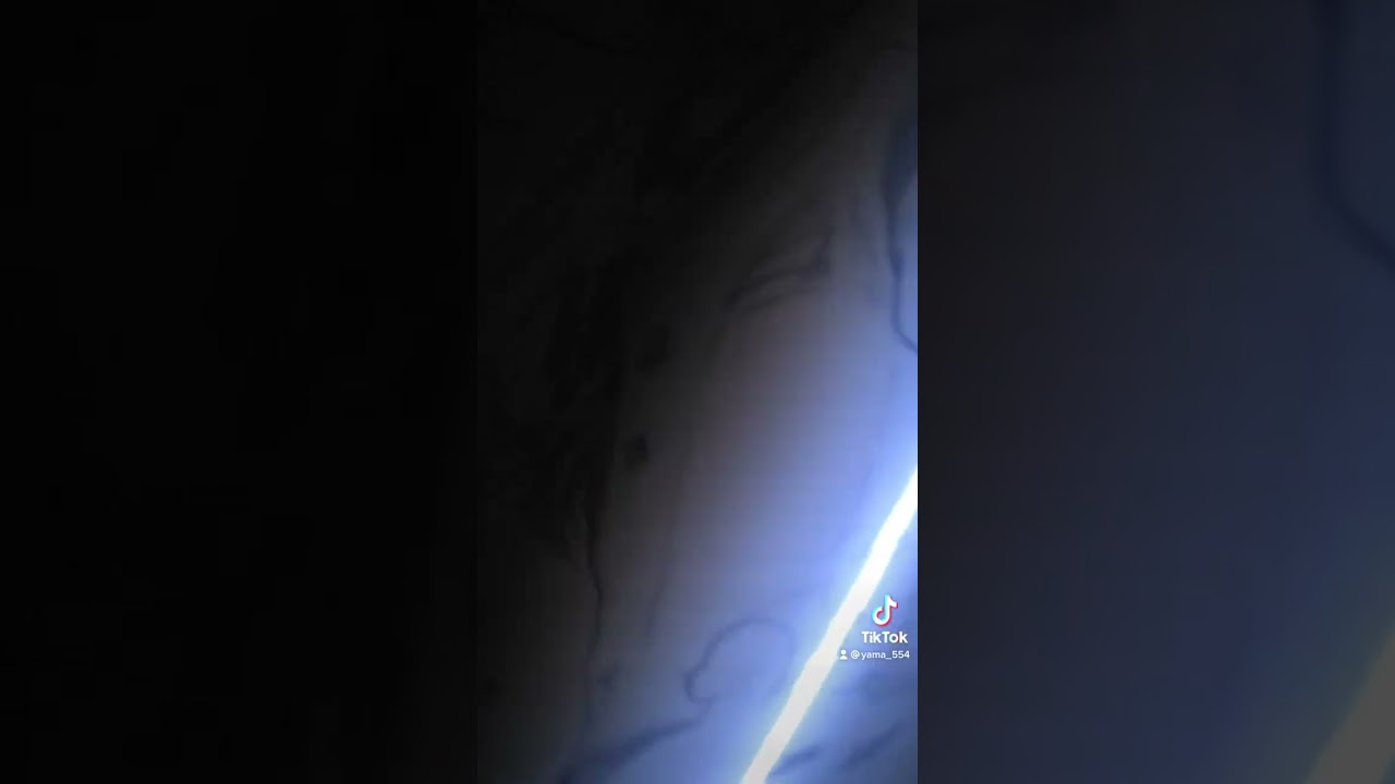 シグマ描いてみた(=´∀｀)