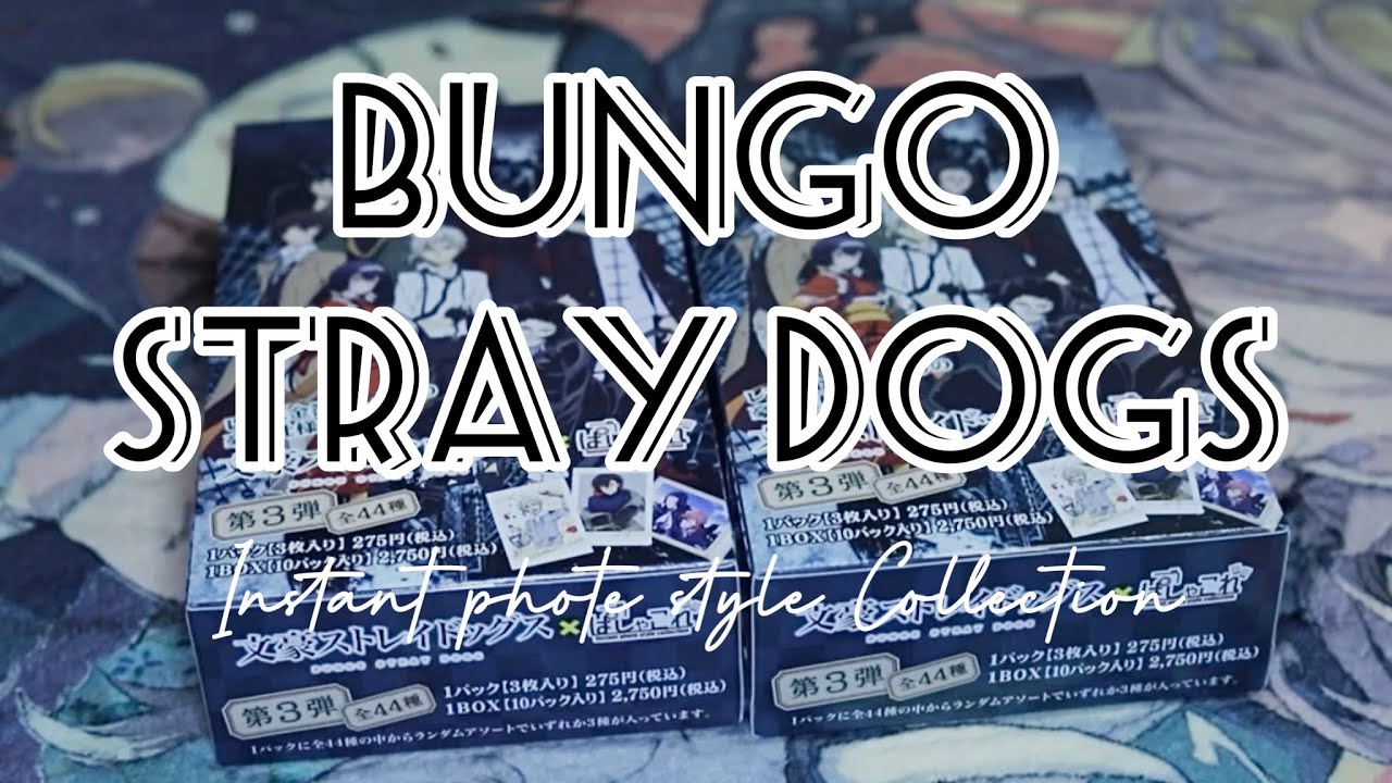 開封￤ぱしゃこれ再販ありがとう／文スト