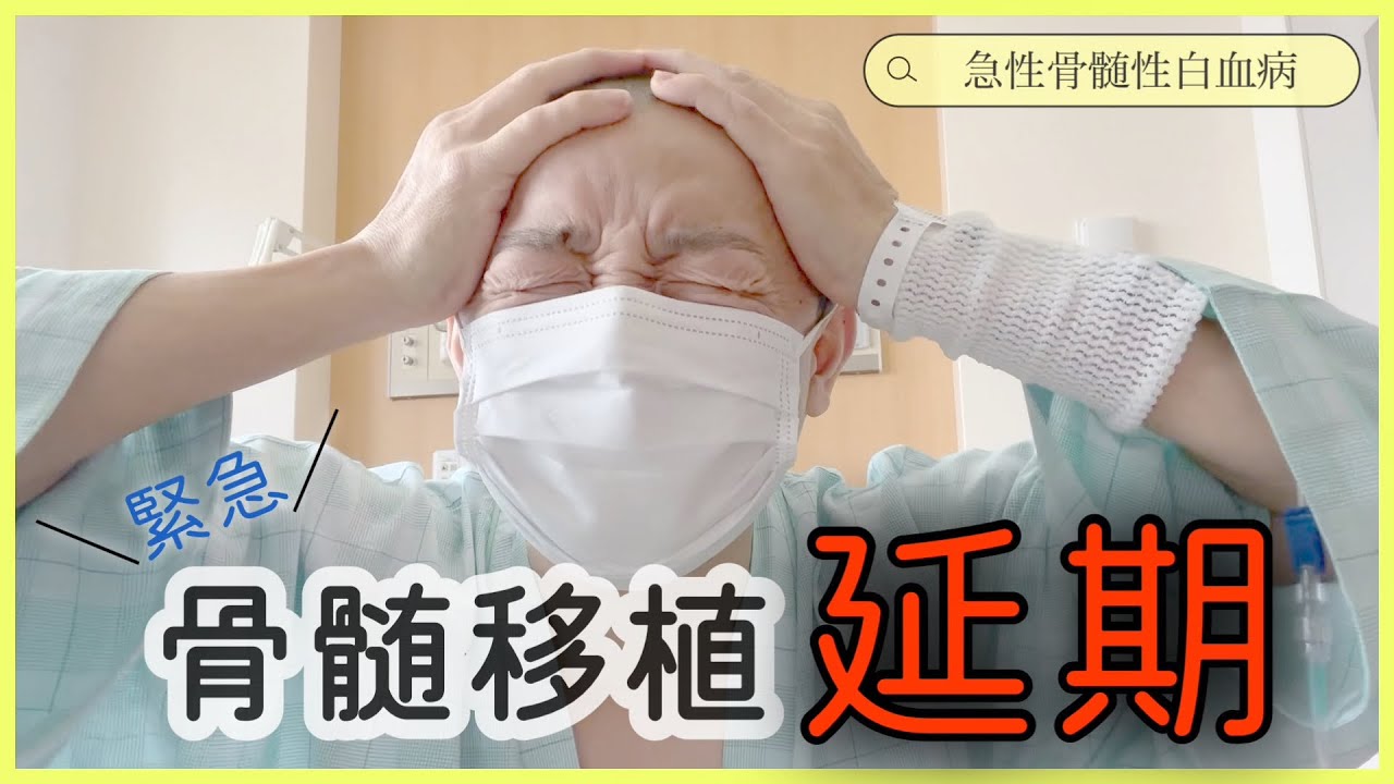 【白血病】骨髄移植延期になった理由について【抗がん剤】