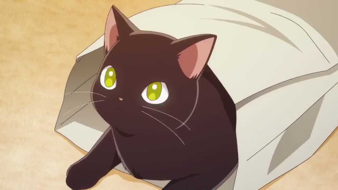 Koori zokusei Danshi to cool na douryour joshi eps 1 sub indo