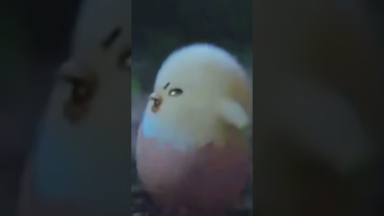 【ぐでたま】ぐでたまを探すひよこが可愛い過ぎる💖『GUDETAMA 』