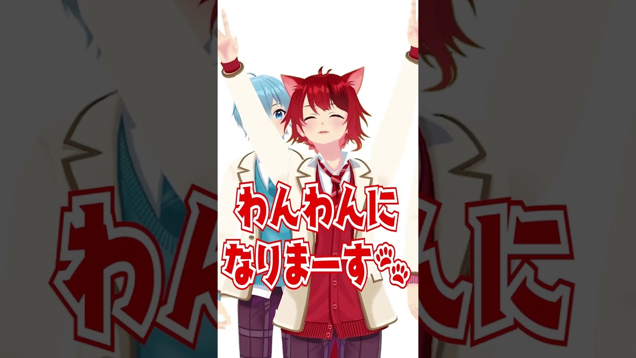莉犬から今年の抱負の発表です！ #Shorts #すとぷり #莉犬くん