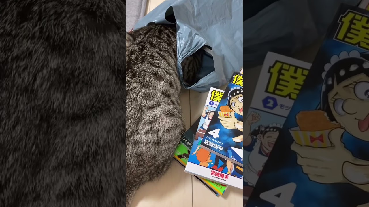 ロボコ最新刊はどこですか？