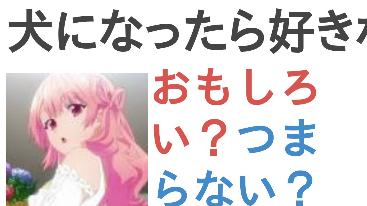 アニメ『犬になったら好きな人に拾われた。』はおもしろい？つまらない？【評価・感想・考察】