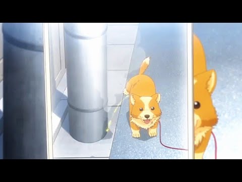 Pochita lost his dignity as a human | Inu ni Nattara Suki na Hito ni Hirowareta(犬になったら好きな人に拾われた)Ep.2
