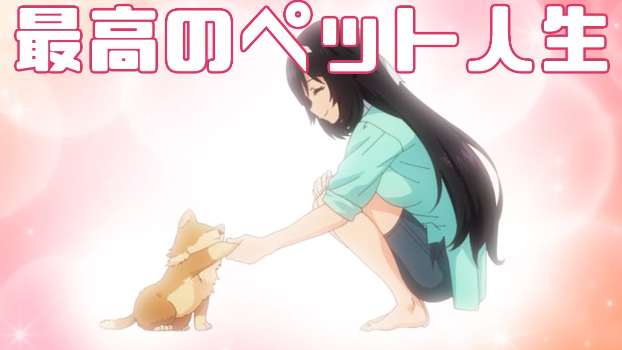 これはある種の哲学アニメだ「犬になったら好きな人に拾われた。 １話 お手。」アニメレビュー