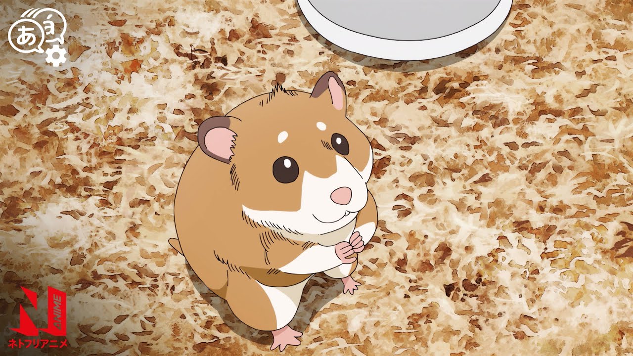 Hamster Owner Search | The Way of the Househusband: Season 2 | Clip | Netflix Anime