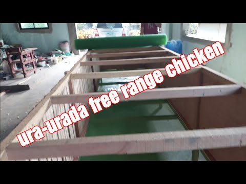 Free Range 🐔 Ura-urada, Make my day.