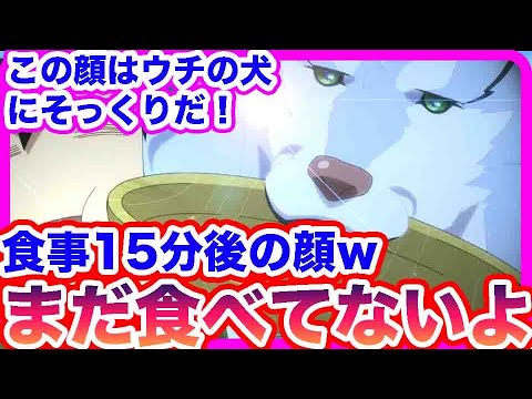【異世界放浪メシ】第４話予告PV【海外の反応】フェルは大きな子犬だなw。次の話が待ちきれずに漫画に手を伸ばす海外ファンも！