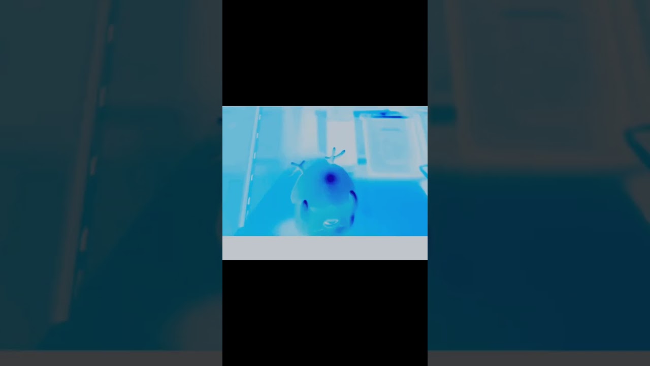 なんか作っちゃった(･ω･)#ぐでたま