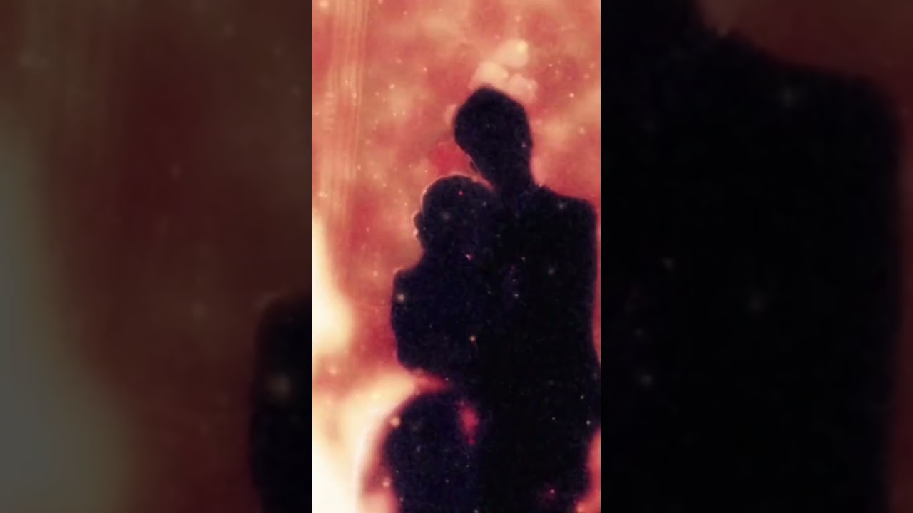 スパイ教室　第４話　エルナ　(今度こそ　みんなと　仲良くするの　) #スパイ教室