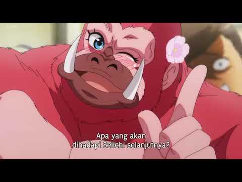 シンカの実シーズン 2 エピソード 1 サブ インドネシア