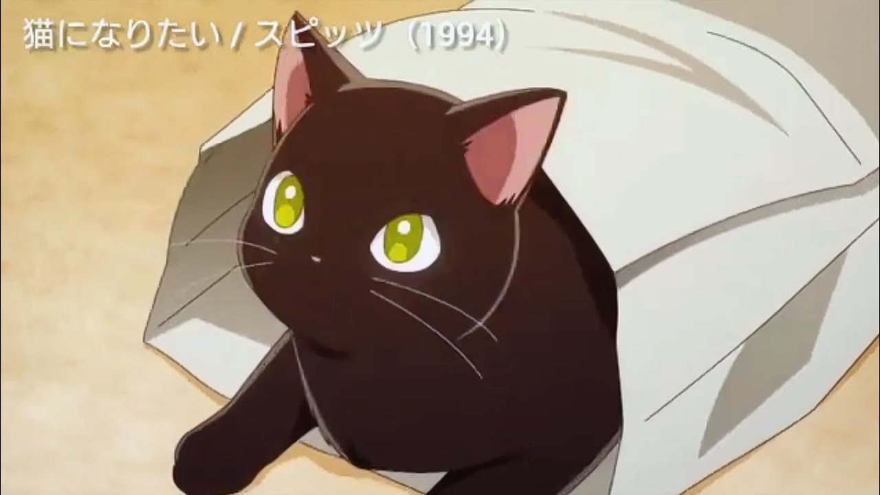 氷属性男子とクールな同僚女子 × 猫になりたい / スピッツ