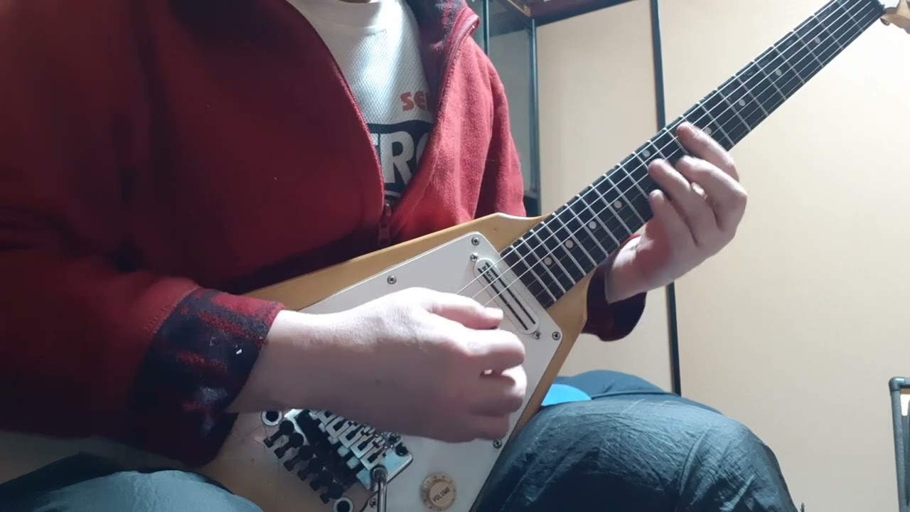 真・進化の実～知らないうちに勝ち組人生～　ｏｐ　Ｅｖｏｌｕｔｉｏｎ　ＮＡＮＯ　ギター　弾いてみた！