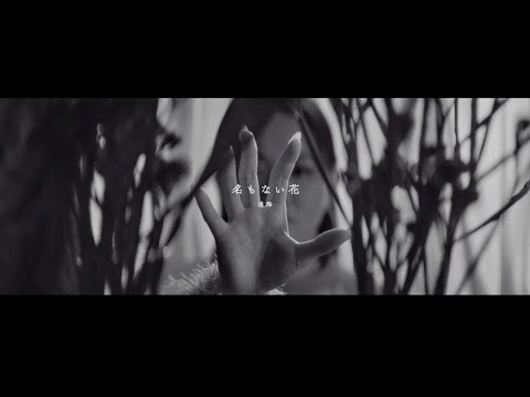 T2- 遥海、「アルスの巨獣」エンディングテーマ「名もない花」MVに壮大な映像美