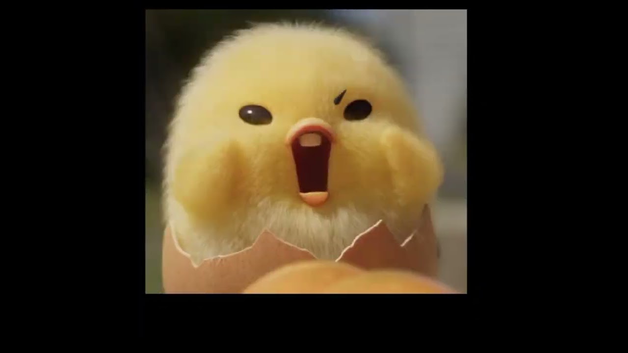 edit per ぐでぐで/ぐでたま'🧡(gudegude/gudetama') しゃきぴよ💛(shakipiyo)