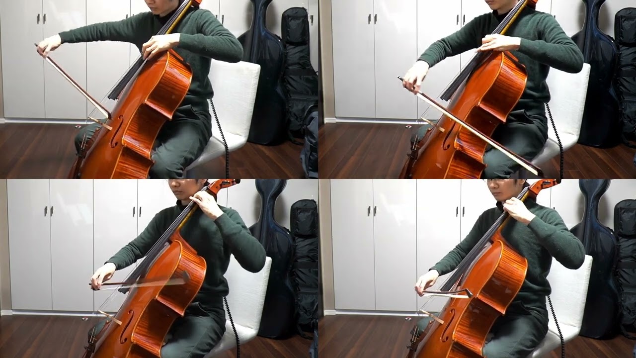 [お兄ちゃんはおしまい！]アイデン貞貞メルトダウンを弾いてみた[チェロ]