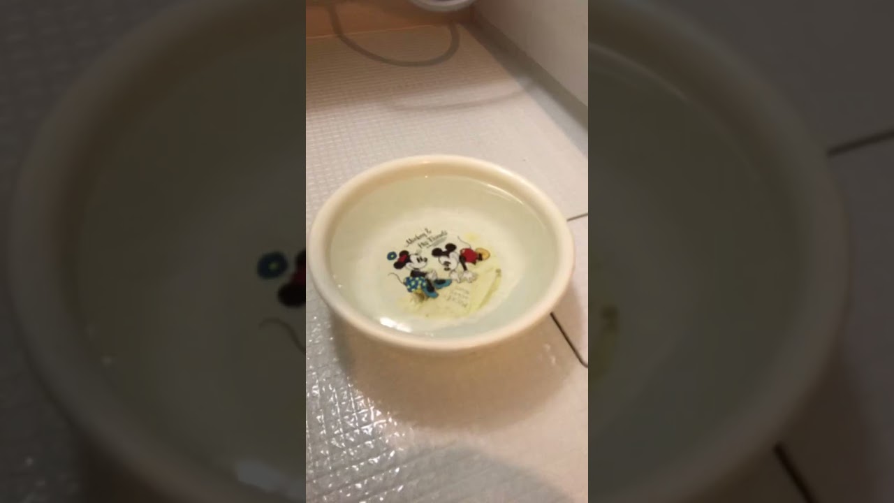 七つの大罪バスボール#七つの大罪