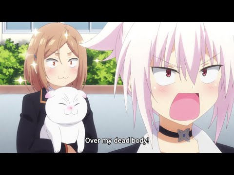 Matsuri tries to become friends with Yayo | Ayakashi Triangle