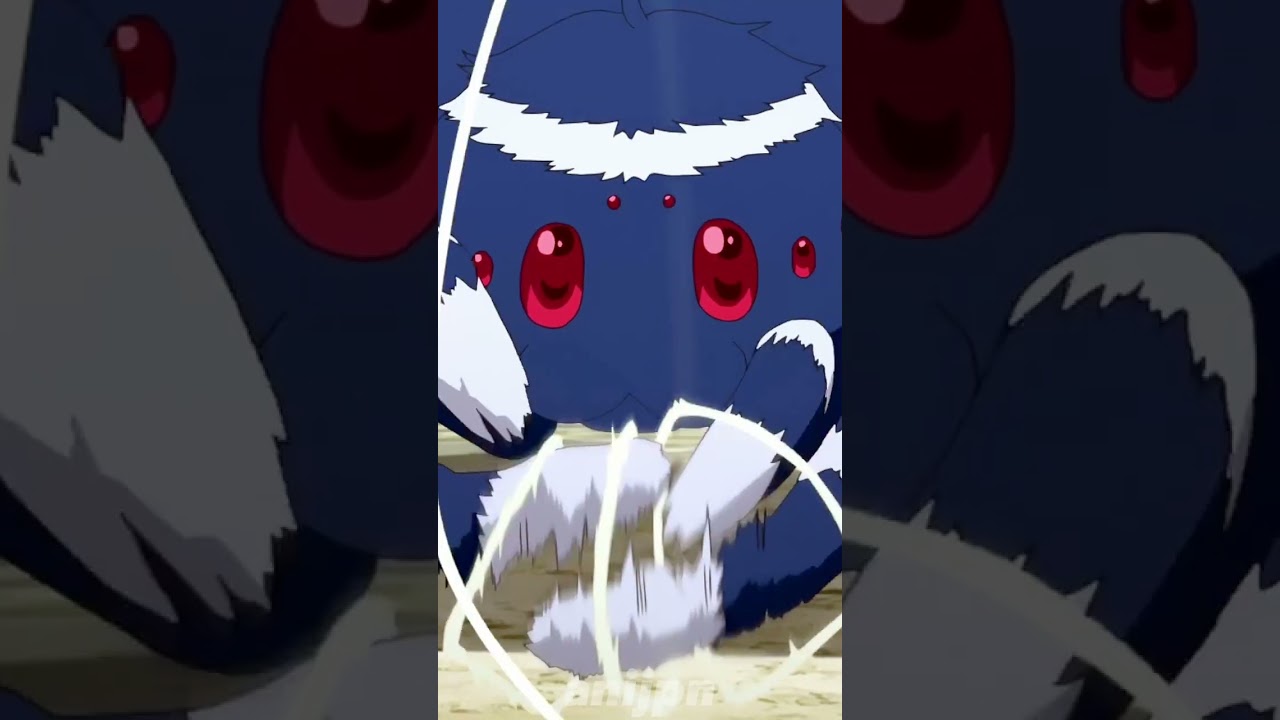 The spider that sews clothes