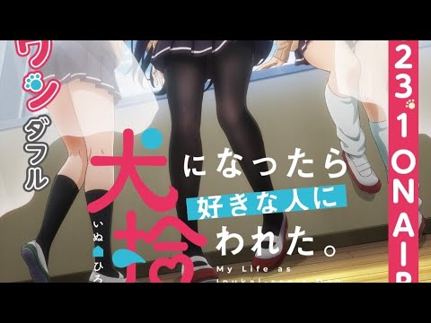 犬になったら好きな人に拾われた。あらすじ