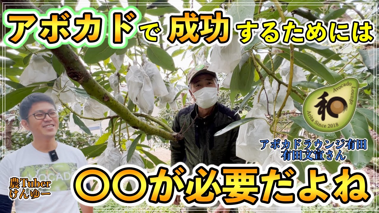 【必見!!】アボカドで成功するには〇〇がいる！有田さんのアボカドオリジナル品種「さえみ」の紹介！【アボカドラウンジ有田さん②】