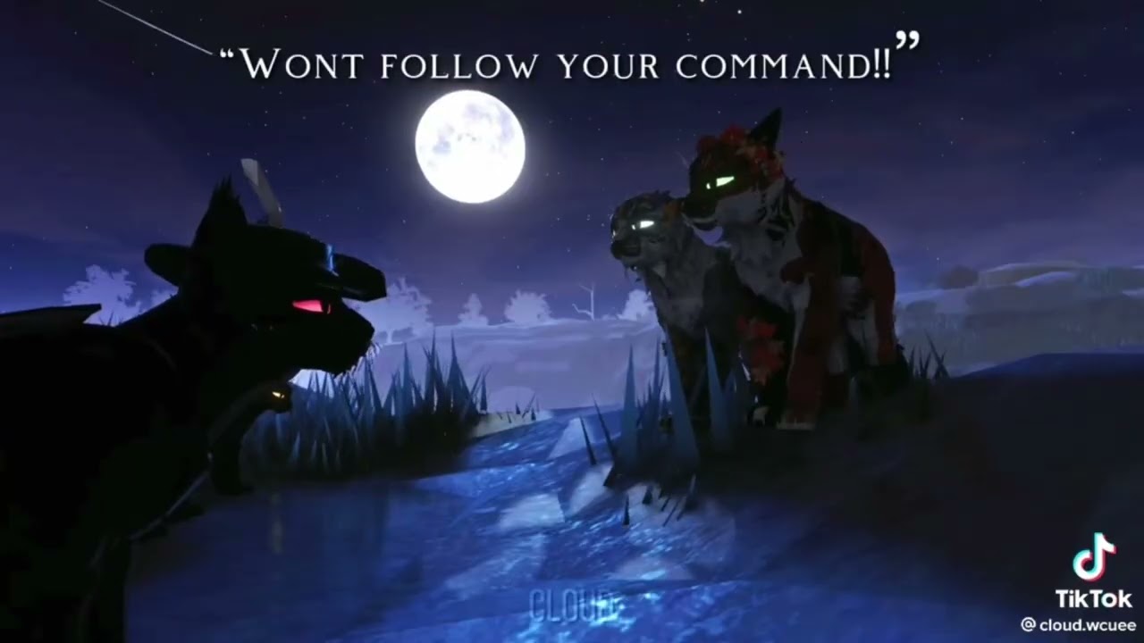 3 minutes of amazing wcue TikTok’s that made my day!