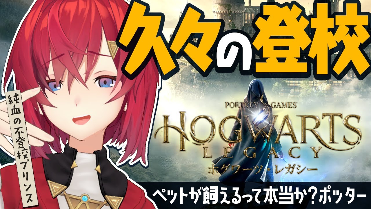 【ホグワーツ・レガシー】ペットを飼えるって本当か？ポッター【にじさんじ/アンジュ・カトリーナ】