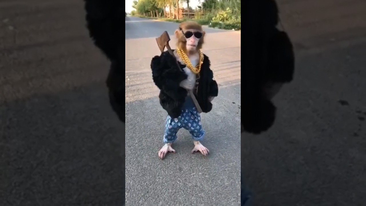 छोटू Don 😎 || 4 invention make my day 🔮 #shorts by Saurabh