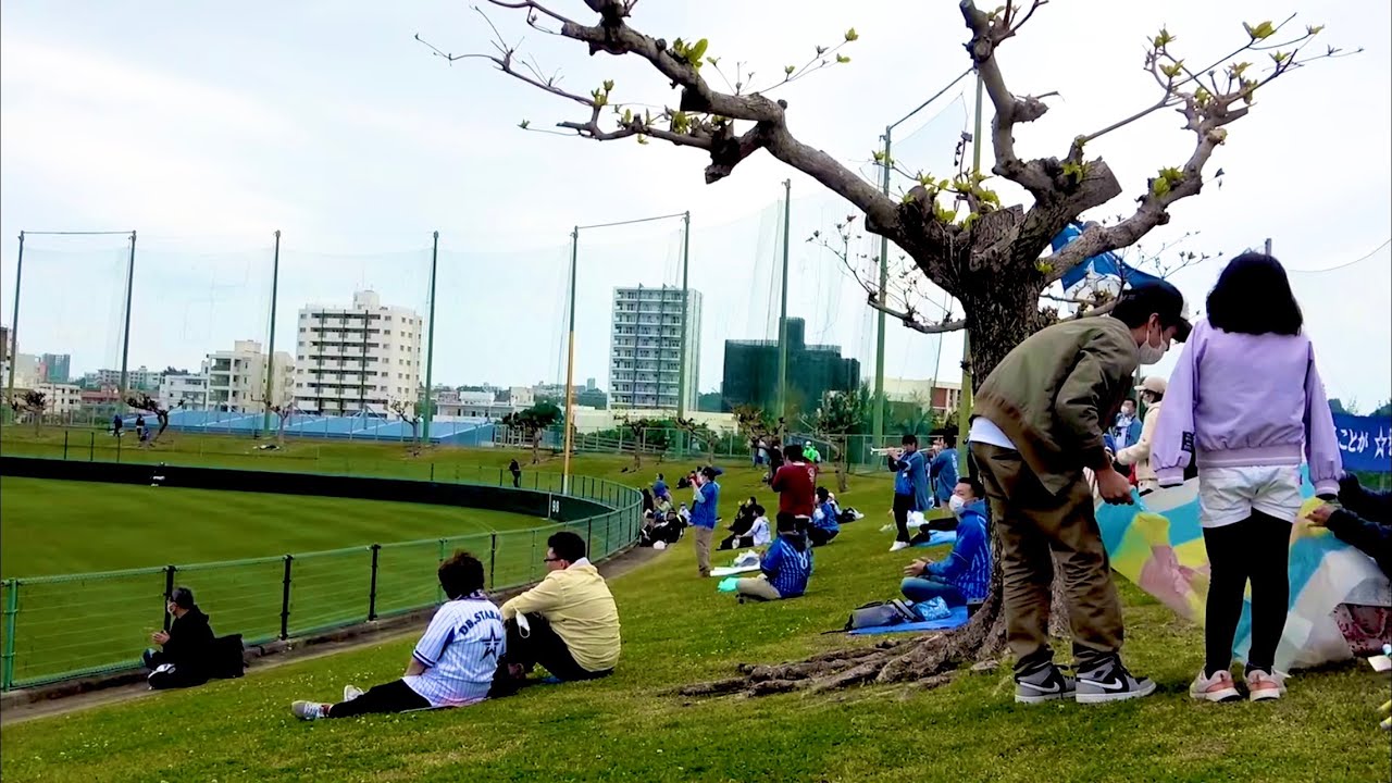 京田コールに古巣からも大歓声！ トランペット生演奏でスタメン発表 横浜DeNAベイスターズ 2023/2/25