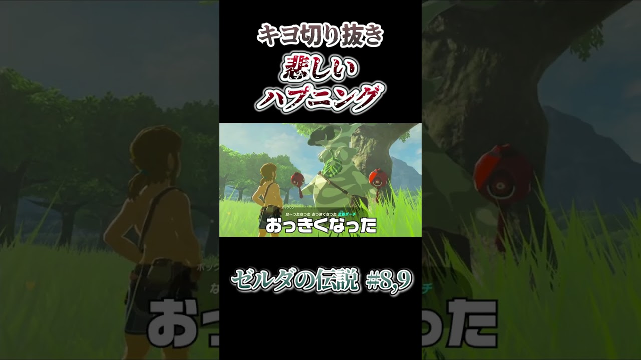 爆破を喰らい炎に包まれてもゴリ押しするキヨ　ゼルダの伝説 BotW #8 #shorts
