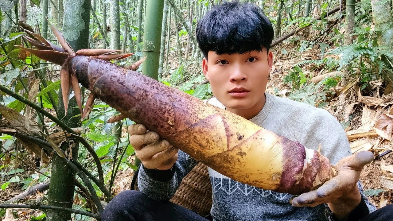 Harvesting bamboo shoots, make bamboo shoots, my daily life, forest life