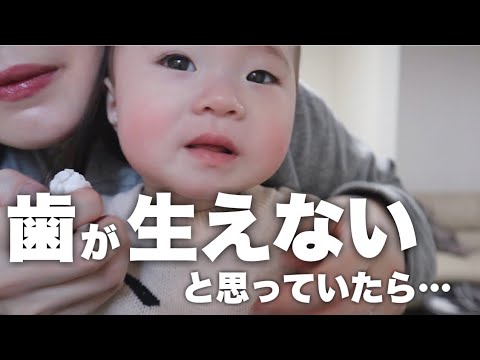【まさかの展開】歯が生えてこない件について…検診結果のご報告