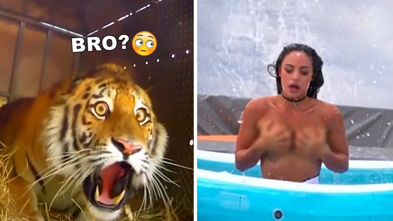 Pets that can make your day 10x better