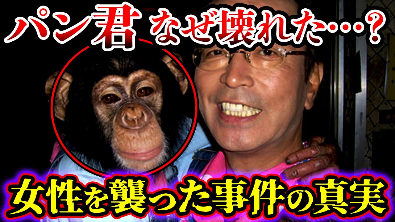 【ゆっくり解説】女性の全身を噛みちぎる…志村どうぶつ園のパンくんが女性を襲った事件の真実について