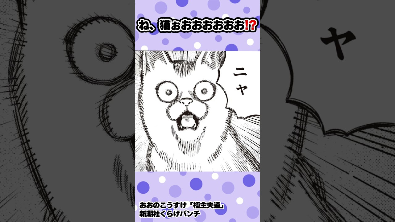 【漫画】猫ぉおおおおお!! #shorts #極主夫道  #6話 #不良 #猫 #ヤンキー#ギャグコメディ #新潮社 #くらげバンチ