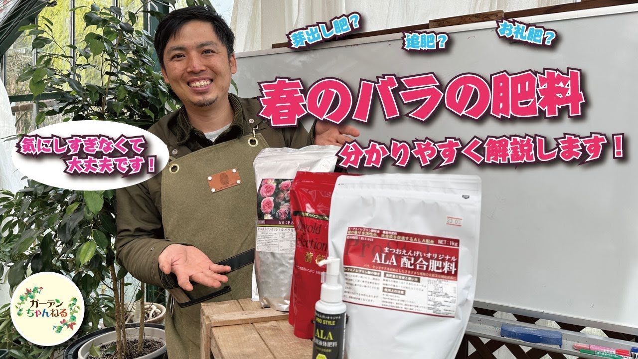 【実は簡単】バラの肥料について解説してみます！