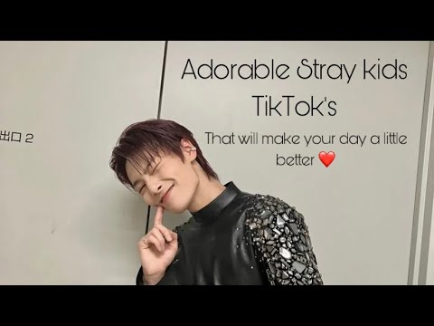 Adorable Stray kids TikTok's that will make your day a little better!