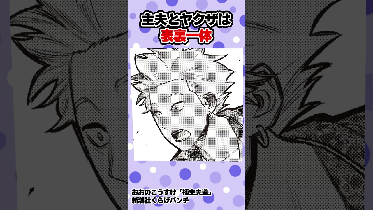 【漫画】主婦とヤクザは表裏一体…!? #shorts #極主夫道  #8話 #不良 #猫 #ヤンキー#ギャグコメディ #新潮社 #くらげバンチ