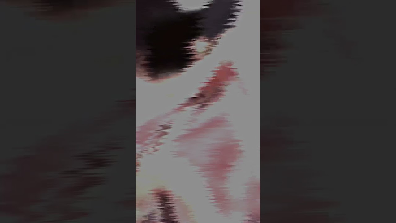 自己嫌悪 #アライトモーション #外見至上主義 #edit #alightmotion